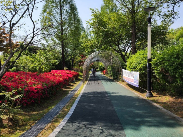 아산 신정호