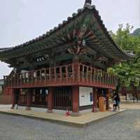 A Day at Baegyangsa Temple