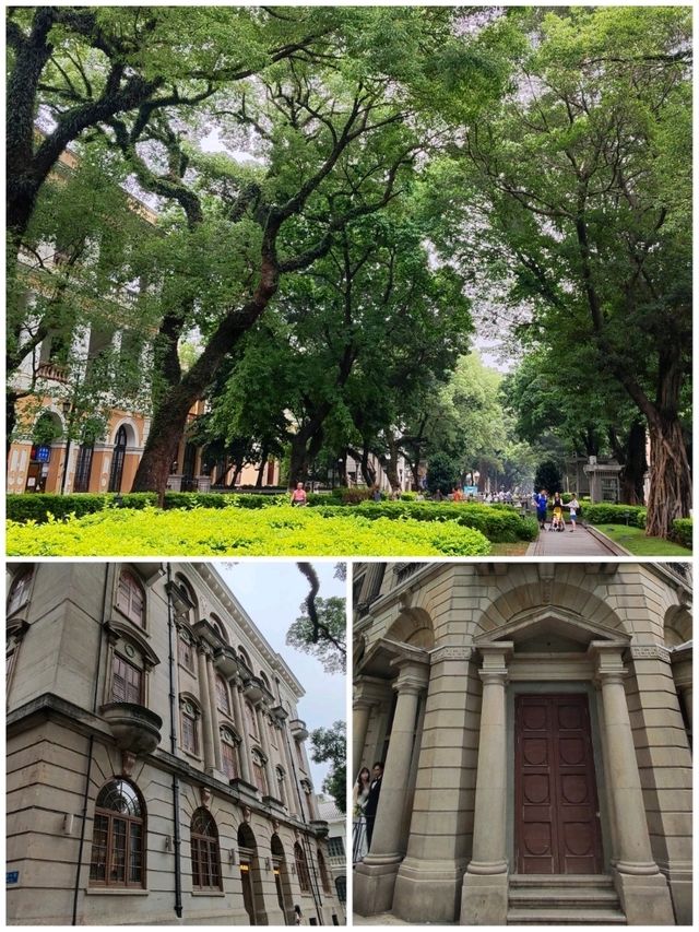 在異國情調的沙面島悠閒散步