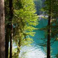 Isn't Eibsee basically the Munich version of Jiuzhaigou? 🇩🇪✨