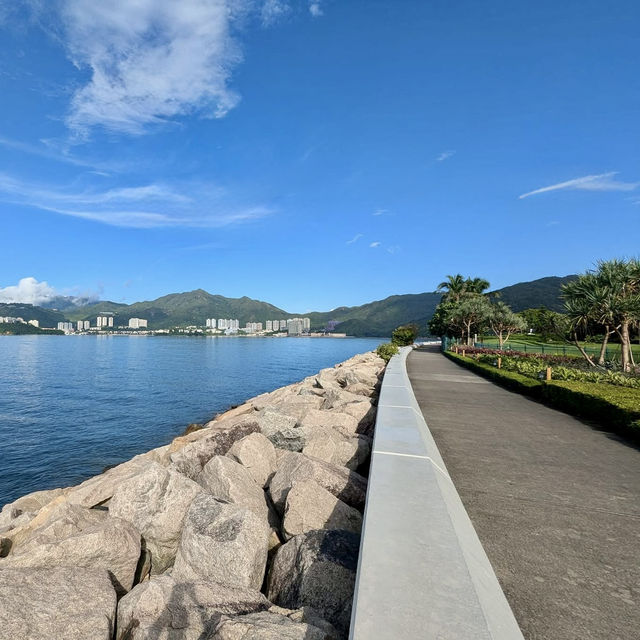 眺望壯麗的南海景色，異國情調和探險氛圍的迪士尼酒店