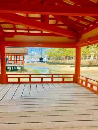 ⛩️【広島・宮島】神々と自然が宿る神秘の島で、心ほどけるひとときを🌿🌊