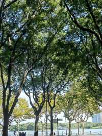 Century Park on a Budget: My Day Outdoors in Shanghai