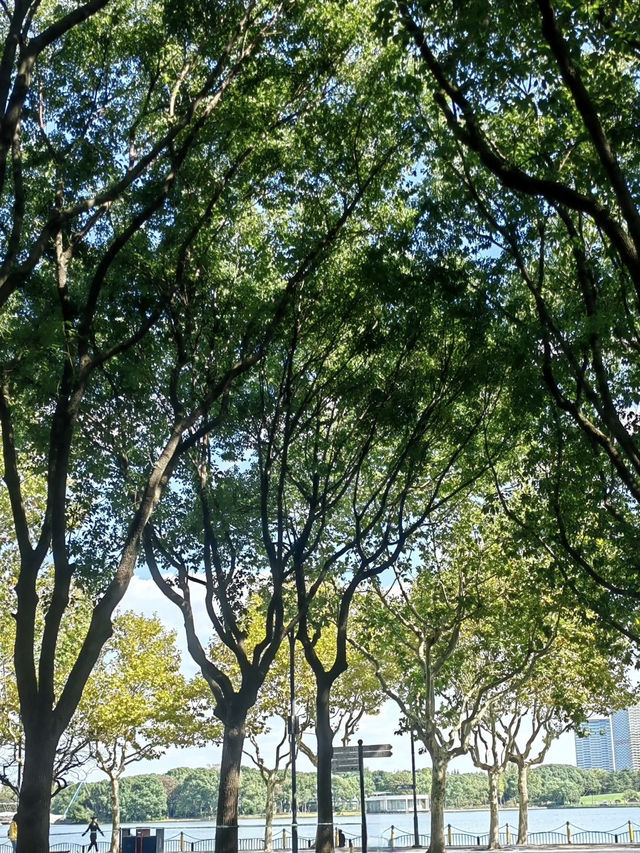 Century Park on a Budget: My Day Outdoors in Shanghai