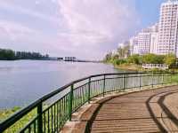 Canopy Bridge