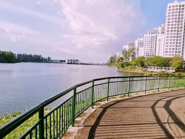 Canopy Bridge