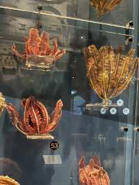 A Journey Through Time and Discovery – My Visit to the National Museum of Nature and Science, Tokyo