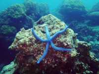 หลง(เสน่ห์)ทะเลที่หมู่เกาะสุรินทร์