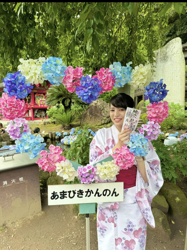 〜茨城県〜関東最大！涼を感じる絶景あじさいスポット!