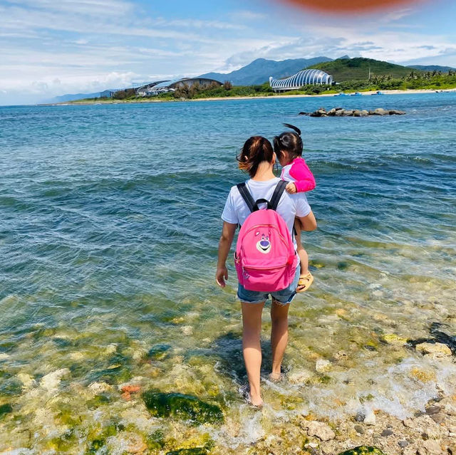 屏東車城 🌊後灣沙灘 大自然的生態教室 還有好多寄居蟹