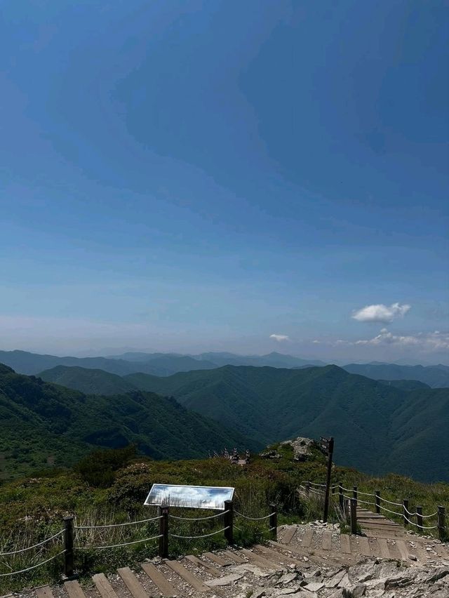 Sky-High and So Worth It