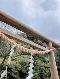 《鹿兒島 - 仙儼園》白熊冰