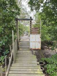 Outdoorgate Sepang Mangrove River Kayaking, A Thrilling Eco Adventure