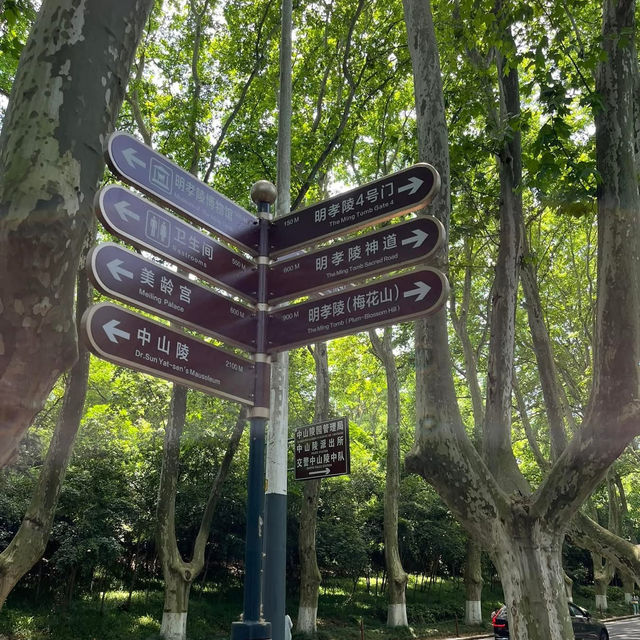 ⛰️ Nanjing Zhongshan Scenic Area – More Than Just 392 Steps 