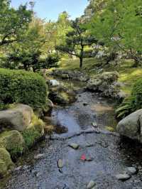 四季が彩る日本庭園🌸兼六園で心ほどけるひとときを