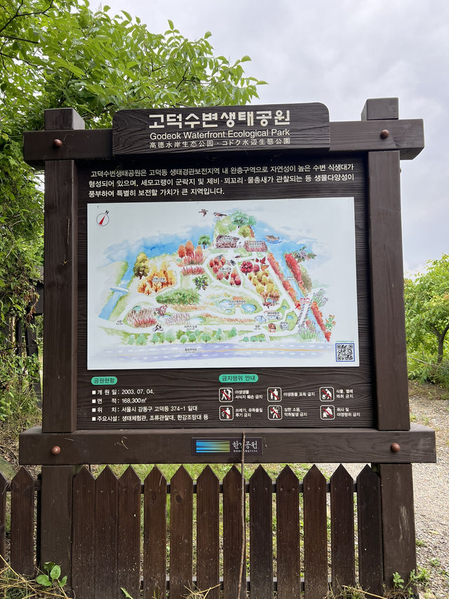 고덕 수변 생태 공원