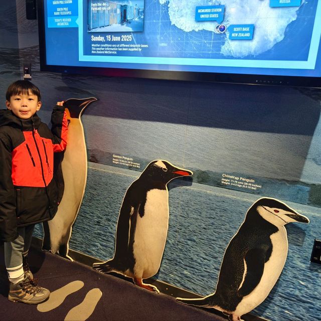 Exploring the Wonders of the International Antarctica Museum