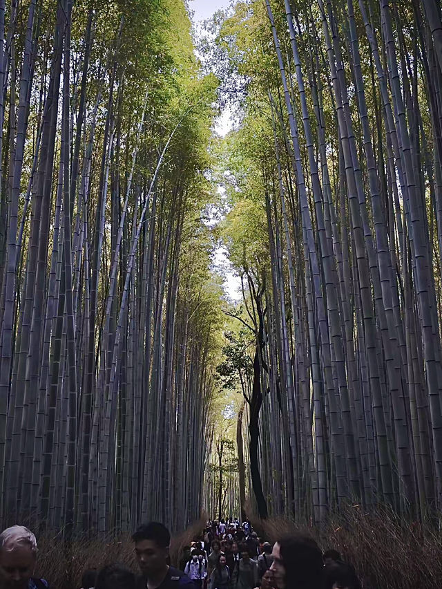 โอซาก้า🇯🇵