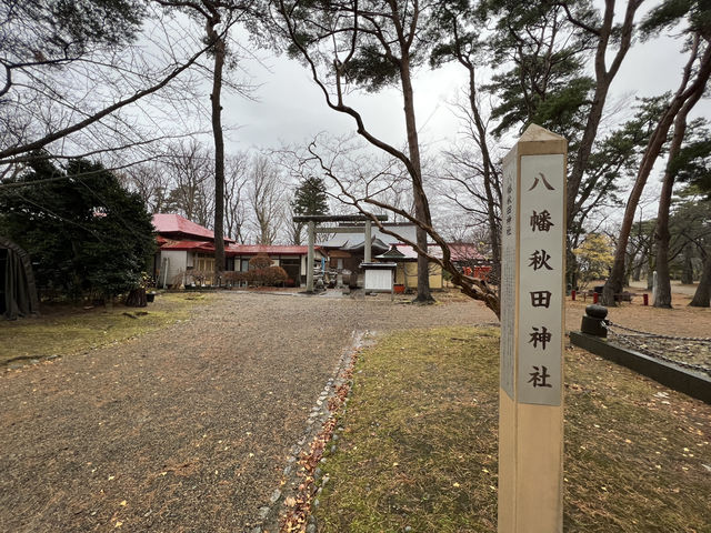 🌧️ Moody Skies Over Kubota Castle Ruins – A Quiet Slice of History