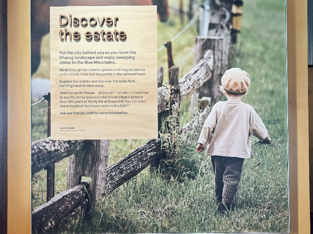🌳 Rouse Hill Estate: Free Sunday Fun! 🐄