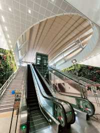 Breathtaking Arrival at Gardens by the Bay via MRT