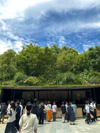 【福岡】期間限定🌟太宰府天満宮の魅力⛩️