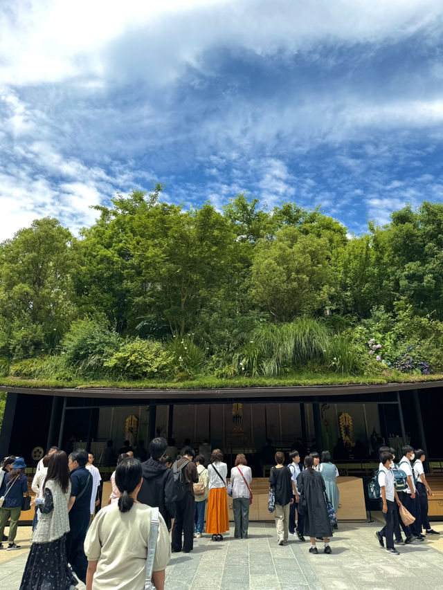 【福岡】期間限定🌟太宰府天満宮の魅力⛩️