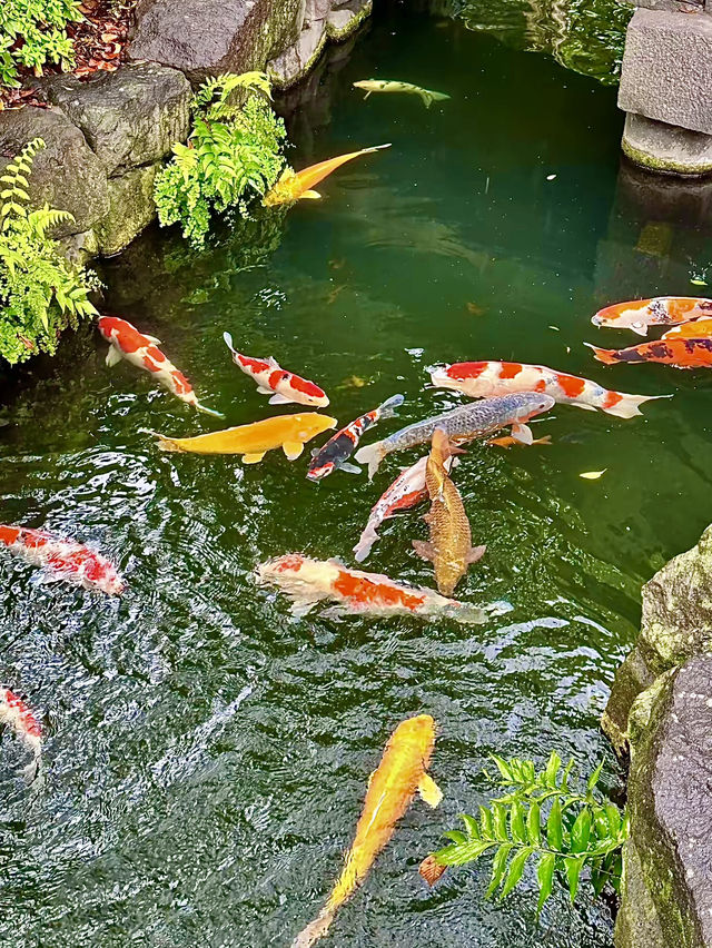 โอซาก้า🇯🇵