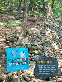혼자 걸어도 전혀 외롭지 않은 길