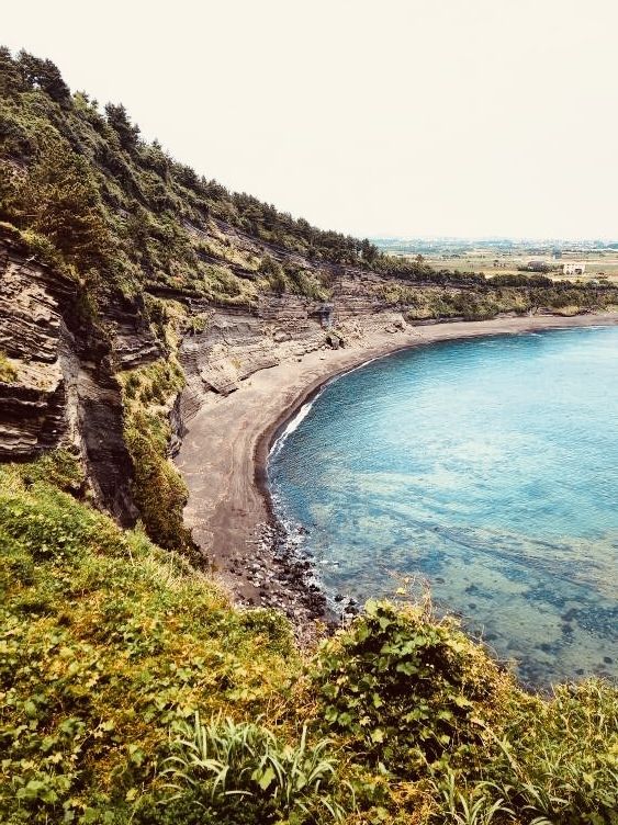  Jeju Island Summer Survival Guide