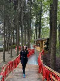 Discover the Colorful Charm of Butterfly Park – A Hidden Gem in Yunnan
