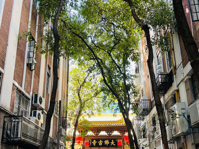 Unforgettable China Trip 