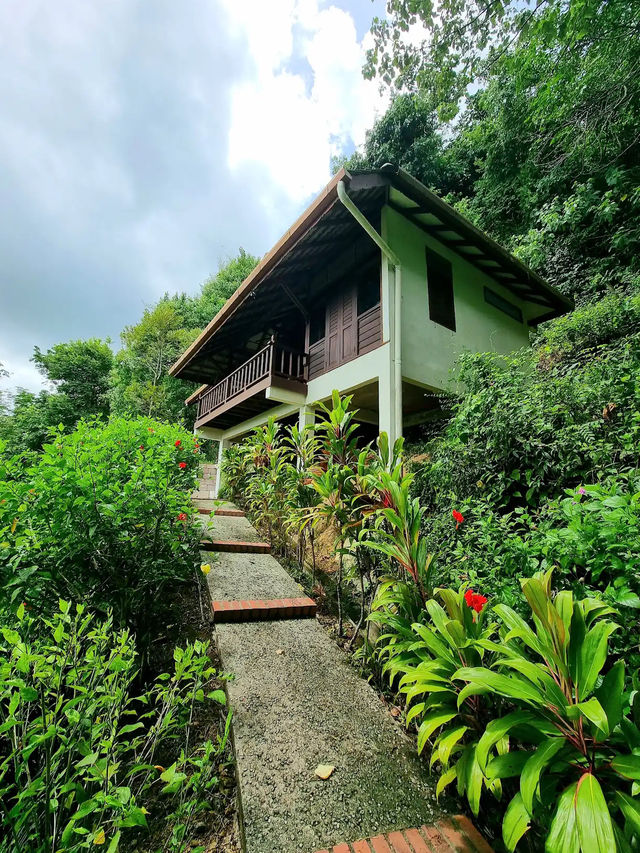 Feel at Home in Paradise: Stay at Alamanda Villas