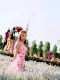  Maple Gardens กาญจนบุรี
