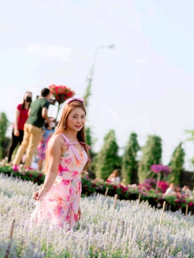  Maple Gardens กาญจนบุรี