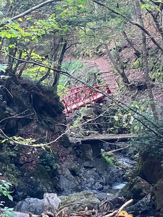 【天滝】まさに“天から落ちる滝”！自然の神秘に包まれる絶景ハイキング旅🌿🌈