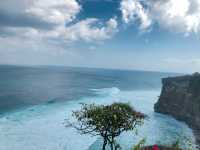 Bali Dreams & Ocean Breeze