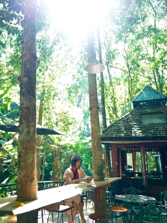 จิบกาแฟเดินสะพานเชือกที่เทดดู้คอฟฟี่