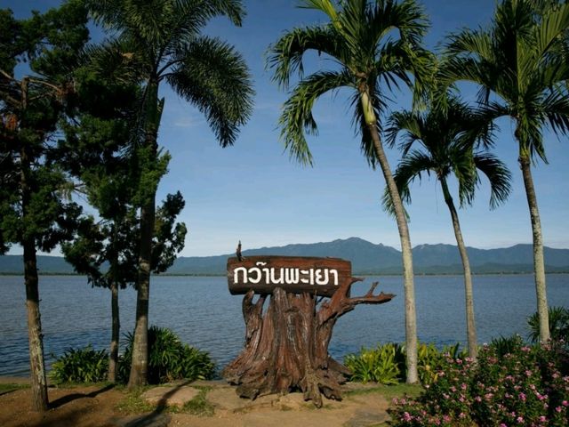 กว๊านพะเยา