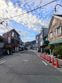 Forest Bamboo Kyoto: A Journey Through Stillness