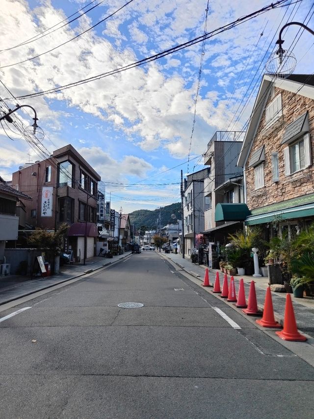 Forest Bamboo Kyoto: A Journey Through Stillness