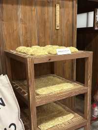 横浜で自分だけのカップヌードルを作ろう🍜