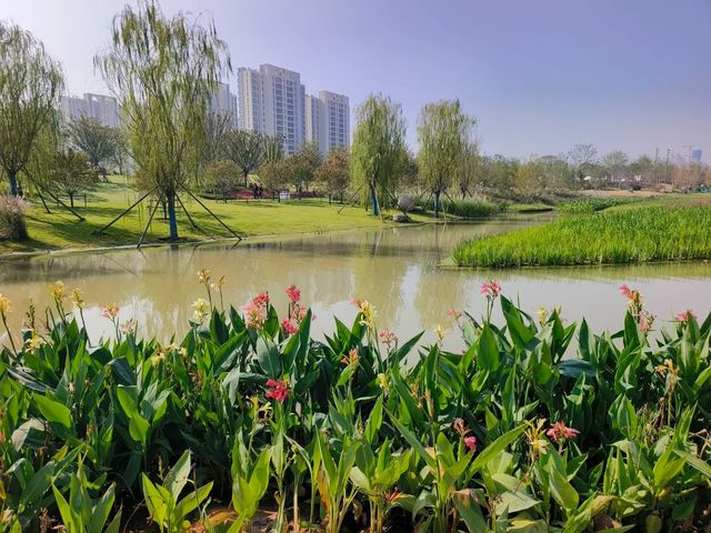 ～西鳳村生態公園～環境優美～