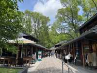 輕井澤星野溫泉 榆樹街小鎮