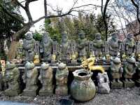Nyoirinji Temple หรือวัดกบ🐸