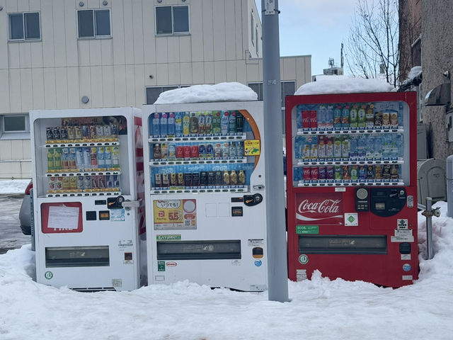Is Hokkaido, Japan worth the hype?