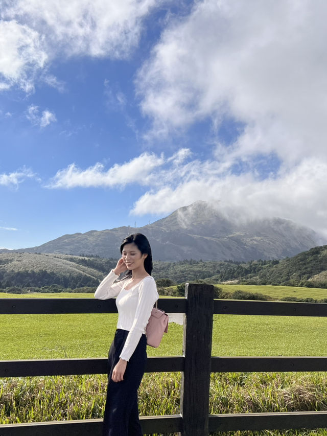 【台北】擎天崗