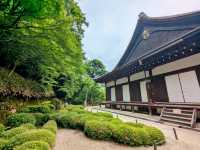 京都 | 方丈庭園，知恩院面向北條的名勝庭園