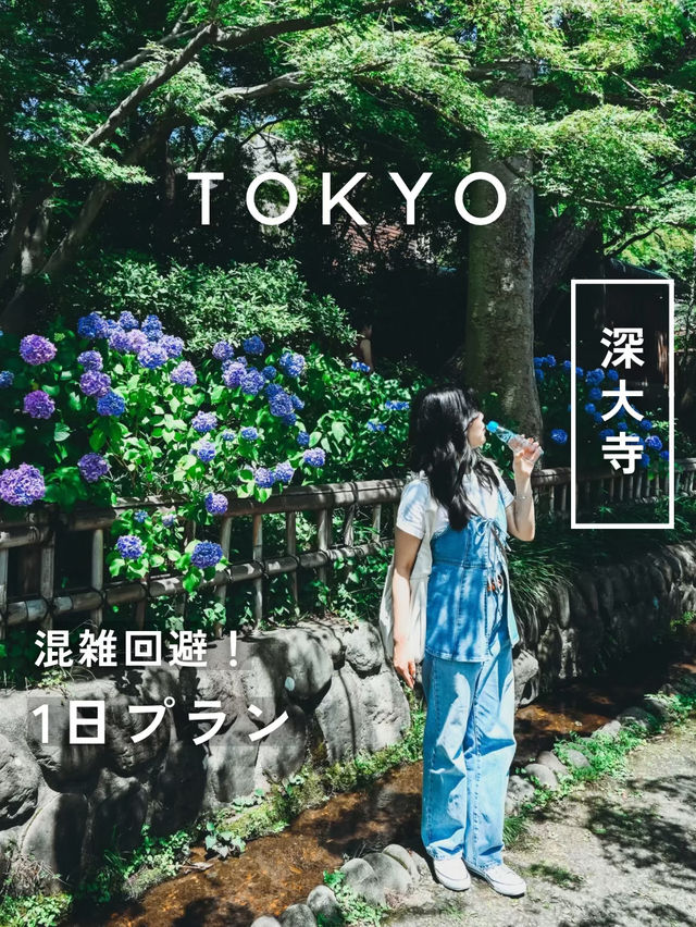 【東京】＼待ち時間ゼロ！？／深大寺1日プラン🌿