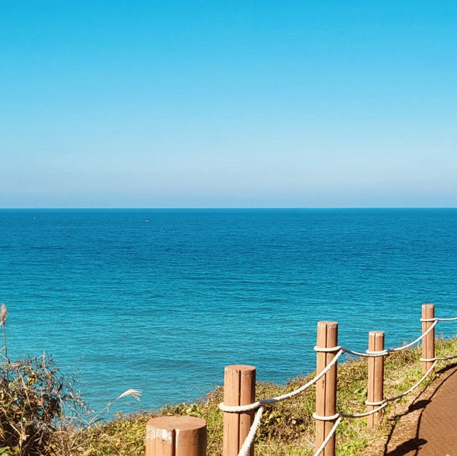 The Perfect Panoramic Viewpoint for Hamdeok Beach